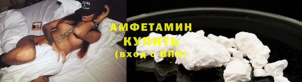 амф Краснослободск
