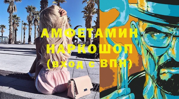 дживик Надым